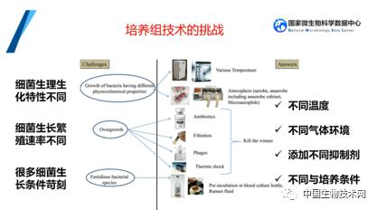 培養(yǎng)組通幽微世界，助力微生物資源大作為——記國(guó)家微生物科學(xué)數(shù)據(jù)中心網(wǎng)絡(luò)精品課網(wǎng)絡(luò)技術(shù)開發(fā)