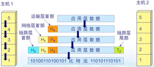 計算機網絡概述與系統工程服務 構建數字時代的連接基石