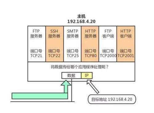 菜鳥(niǎo)系列計(jì)算機(jī)網(wǎng)絡(luò) TCP 與 UDP 協(xié)議深度解析及計(jì)算機(jī)網(wǎng)絡(luò)系統(tǒng)工程實(shí)踐